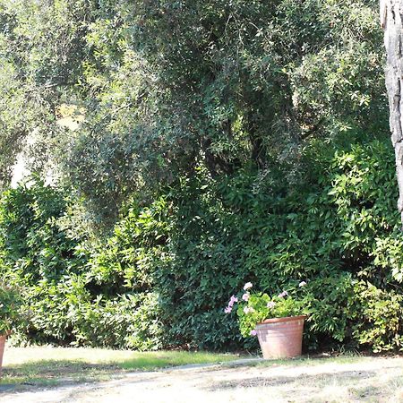 Villetta La Pineta Latignano Extérieur photo