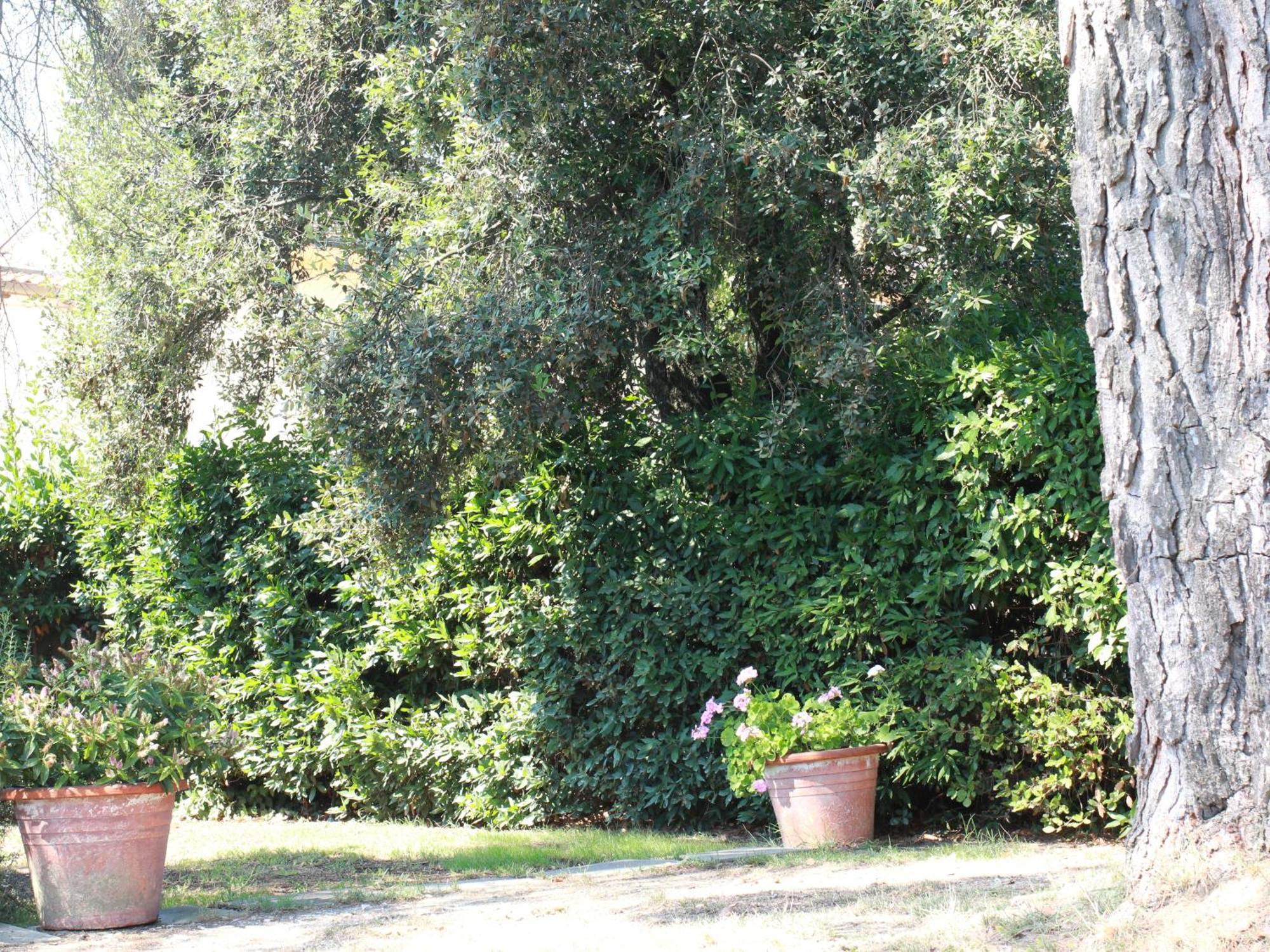 Villetta La Pineta Latignano Extérieur photo